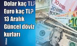 1 Dolar kaç TL? 1 Euro kaç TL? 13 Aralık Güncel döviz kurları